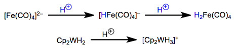 Metal protonation reactions involve the metal center as a base.